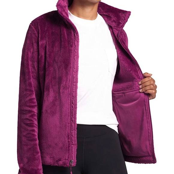 North Face Osito 2 Jacket Wild Aster 